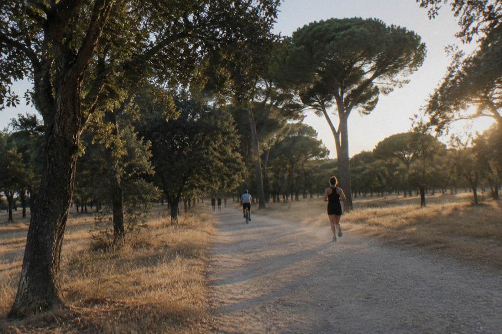 Sunset over Madrid seen from a hilltop viewpoint in Casa de Campo park