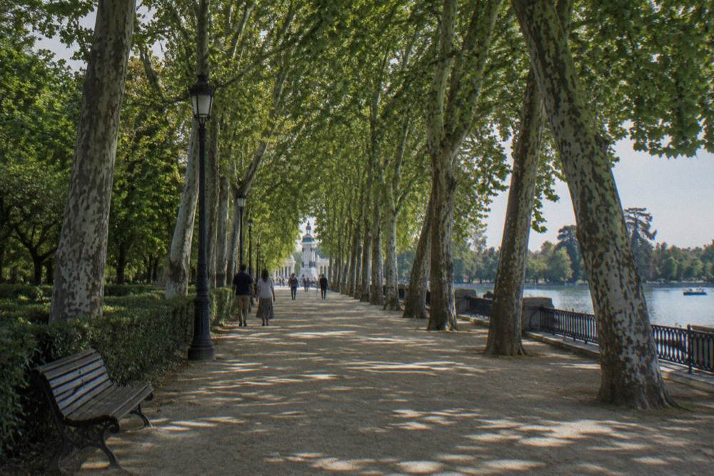 Tree-lined promenade in a large Madrid park with a monument in the distance