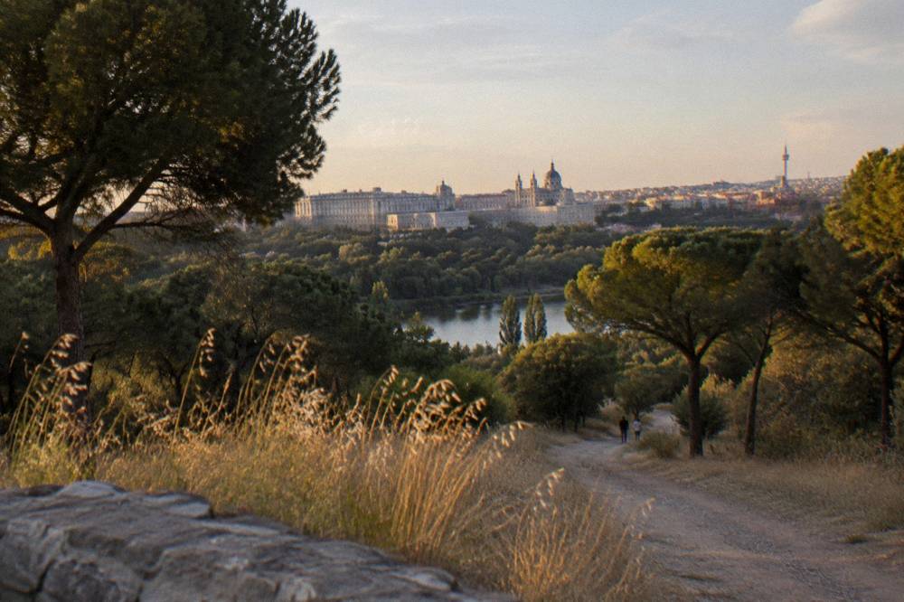 Hillside path with a panoramic view over a river toward palace buildings and a city skyline
