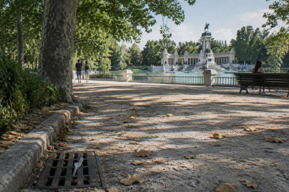 A tree-lined park path with a large pond and a stone monument in the distance