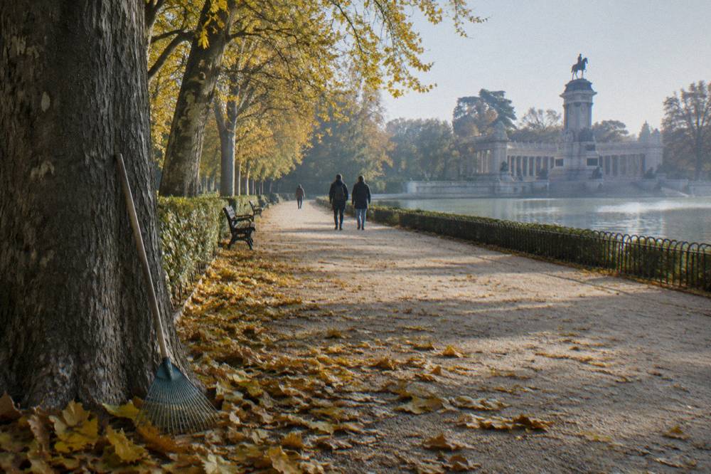 Tree-lined path in a Madrid park with autumn leaves and a distant monument
