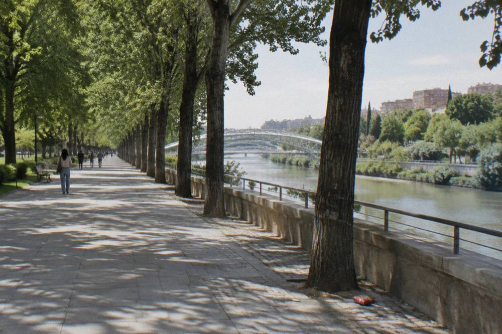 Wide tree-lined promenade beside the Manzanares river with modern footbridges in the distance