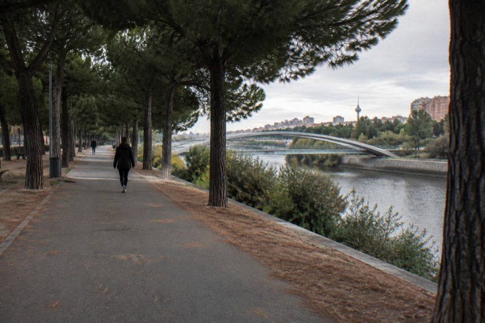 Cycling and walking path under trees along the river with a modern bridge in the background