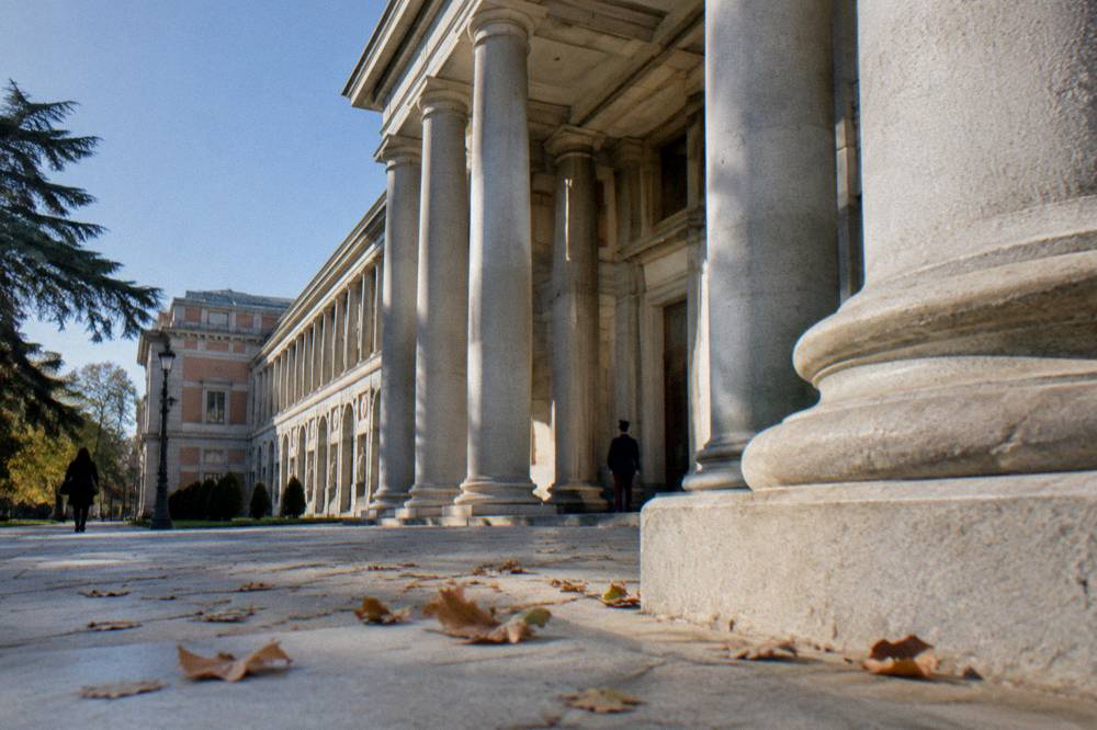 Classical museum building with a stone facade and columned entrance beside a tree-lined boulevard